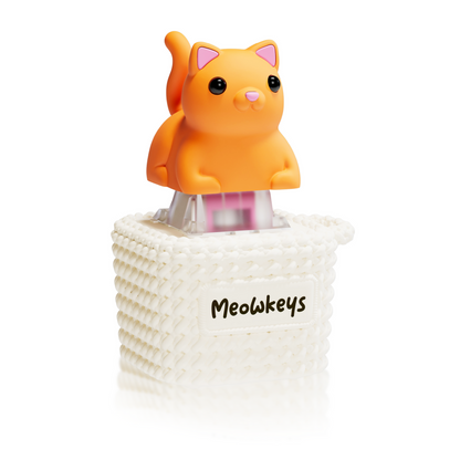 Meowkey