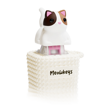 Meowkey